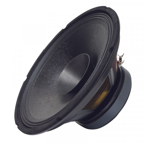 PA Bass Fullrange 300 mm BLANKO Gitarrenlautsprecher