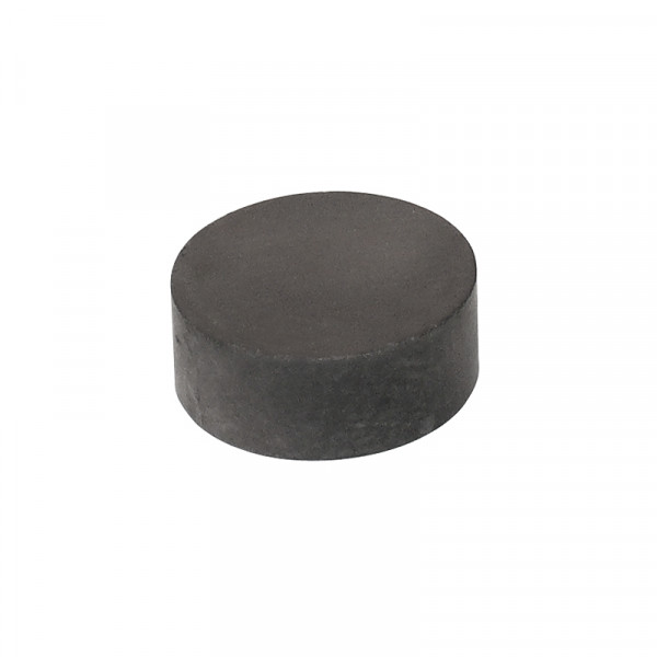 Magnetset rund 10 Stück 12 x 5 mm BLANKO