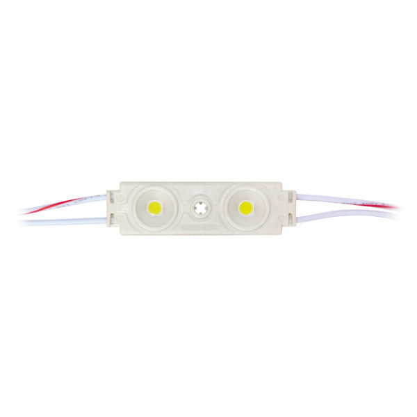 LED Modul 2 x SMD (5050) LEDs weiss