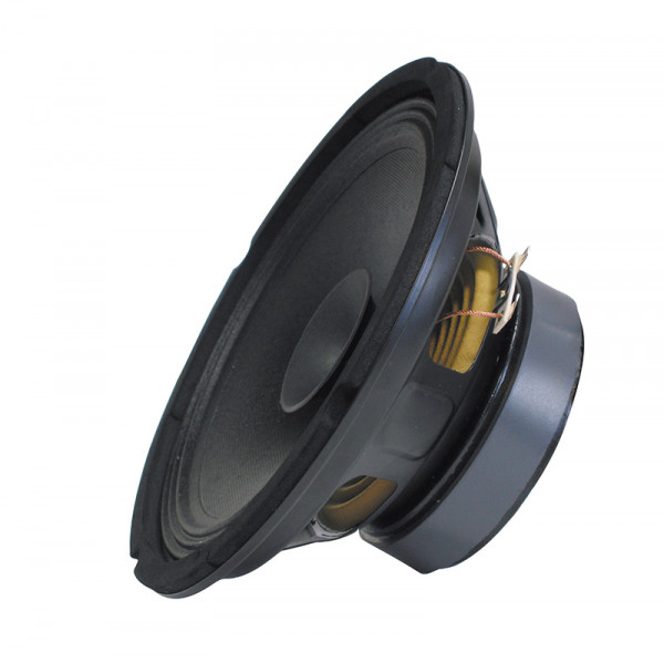 PA Bass Fullrange 250 mm BLANKO Gitarrenlautsprecher